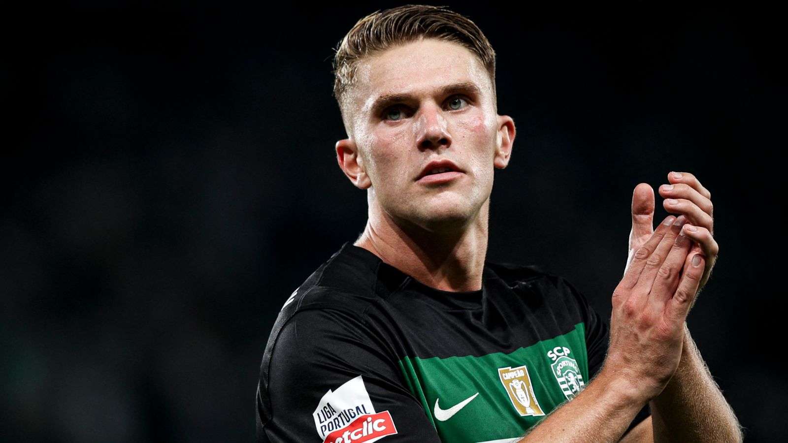 不仅对于弗 不仅对于弗