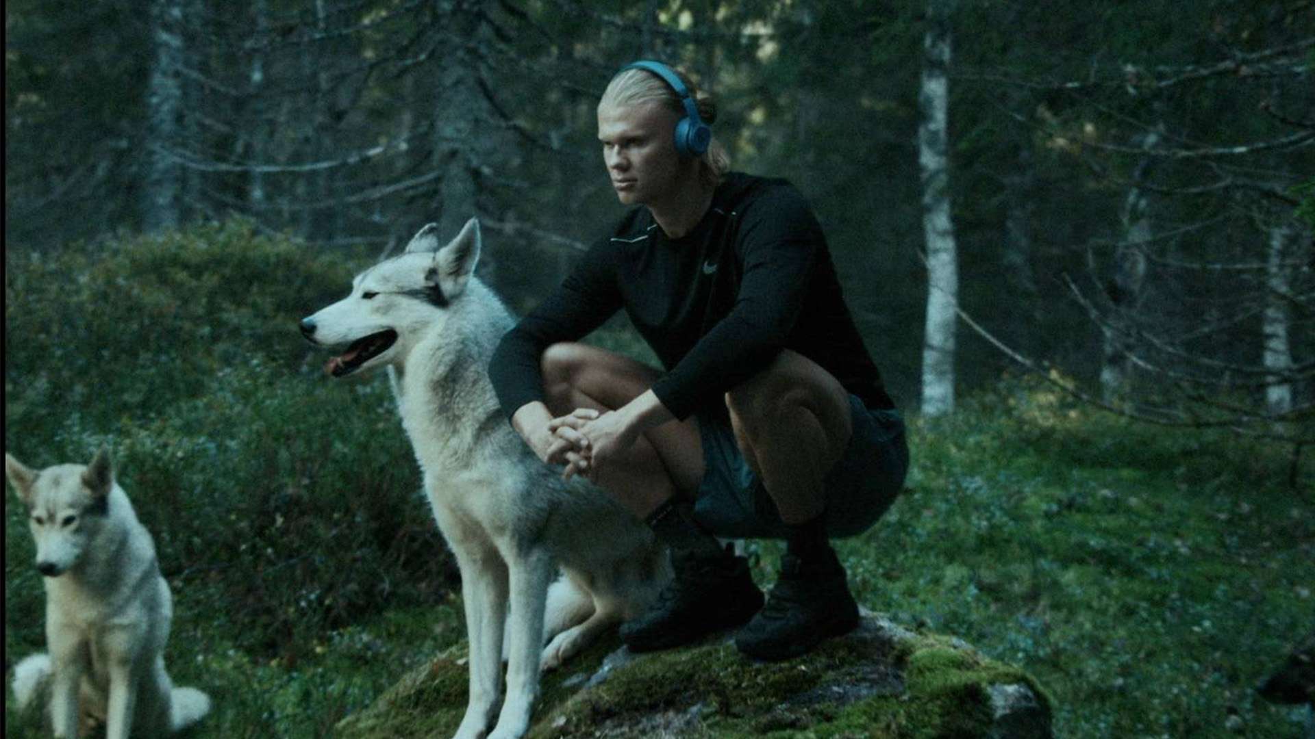 香水系列等 香水系列等