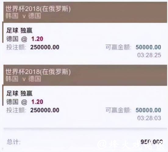 深入解析世界杯买球平台体验与评测